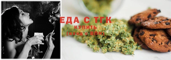 индика Касимов