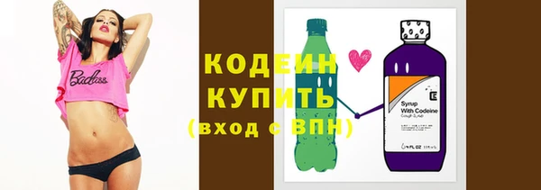 индика Касимов