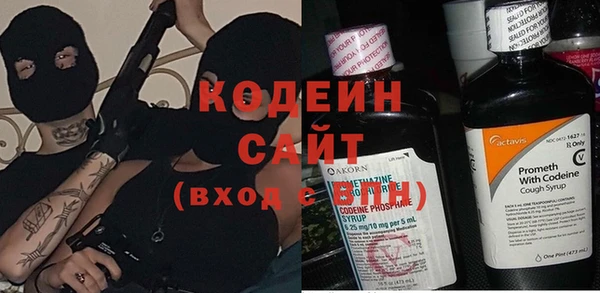 индика Касимов